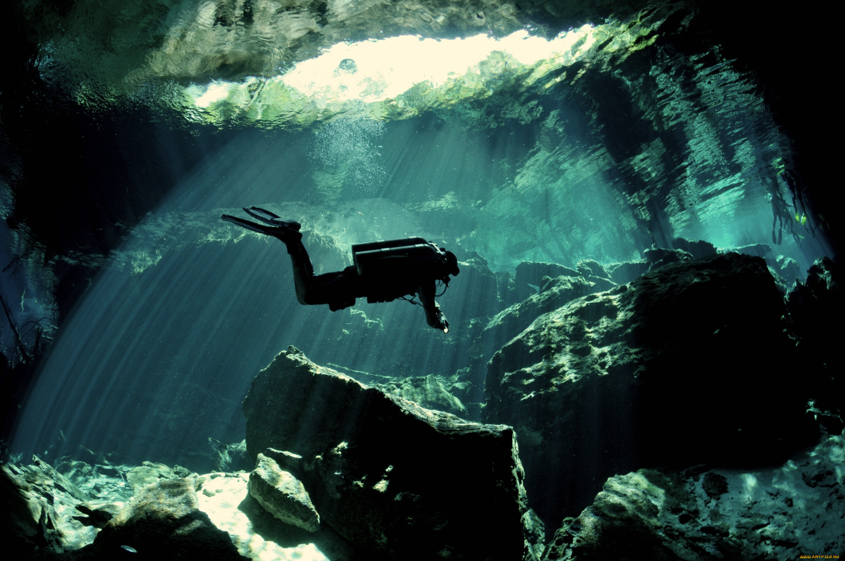 diving, , - , , , , 